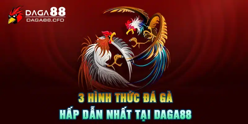 3 hình thức đá gà hấp dẫn nhất tại DAGA88