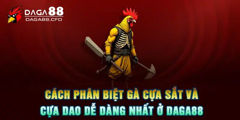 Cách phân biệt gà cựa sắt và cựa dao dễ dàng nhất ở DAGA88