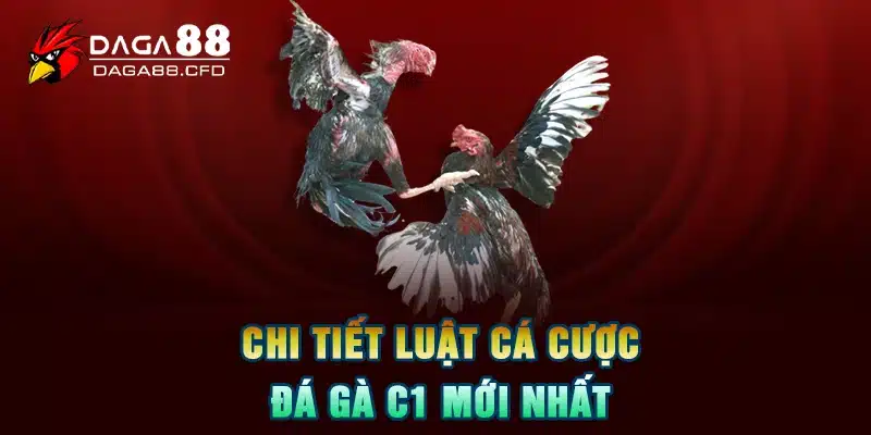 Chi tiết luật cá cược đá gà C1 mới nhất