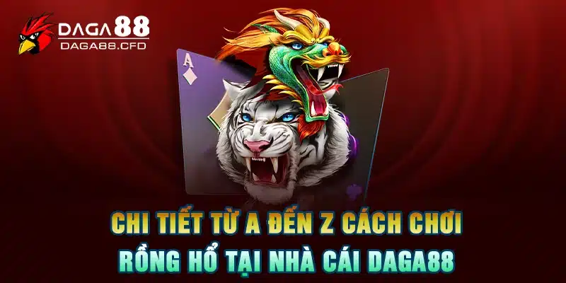 Chi Tiết Từ A Đến Z Cách Chơi Rồng Hổ Tại Nhà Cái DAGA88