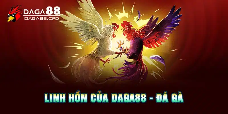 Linh hồn của DAGA88 - đá gà