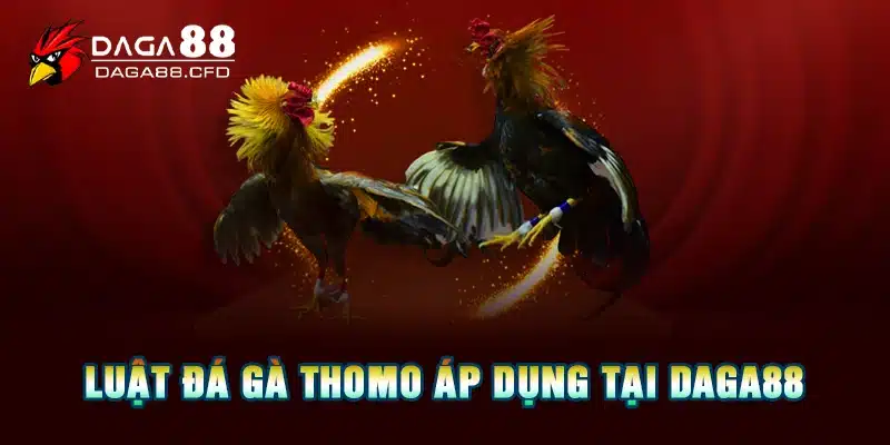 Luật đá gà thomo áp dụng tại DAGA88