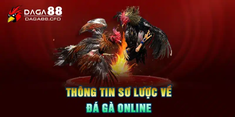 Thông tin sơ lược về đá gà online