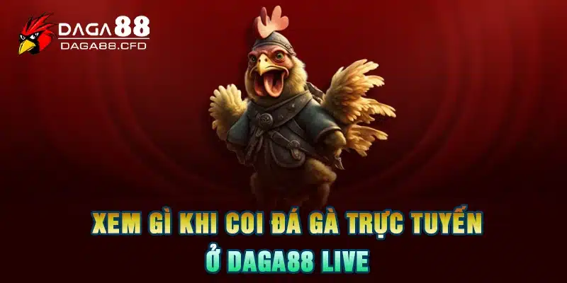 Xem gì khi coi đá gà trực tuyến ở DAGA88 live